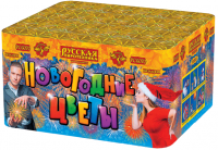 Новогодние цветы Фейерверк купить в Камызяке | kamyzyak.salutsklad.ru