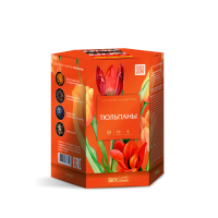 Тюльпаны Салют купить в Камызяке | kamyzyak.salutsklad.ru