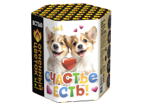 Счастье есть! Салют купить в Камызяке | kamyzyak.salutsklad.ru