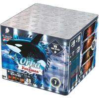 Косатка Фейерверк купить в Камызяке | kamyzyak.salutsklad.ru