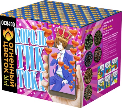 Король Тик-Тока Батарея салютов купить в Камызяке | kamyzyak.salutsklad.ru