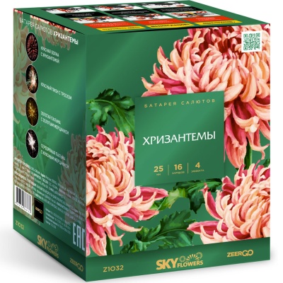 Хризантемы Фейерверк купить в Камызяке | kamyzyak.salutsklad.ru