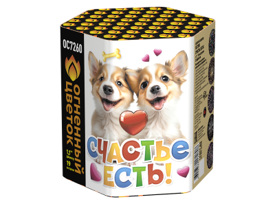 Счастье есть! Салют купить в Камызяке | kamyzyak.salutsklad.ru