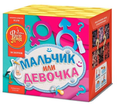 Мальчик или девочка М Фейерверк купить в Камызяке | kamyzyak.salutsklad.ru